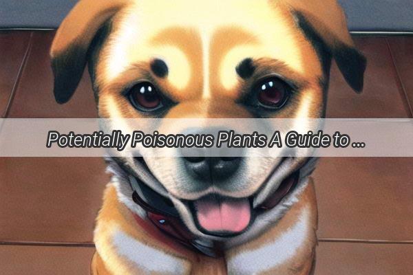 Potentially Poisonous Plants A Guide to Keeping Your Pup Safe in the Garden